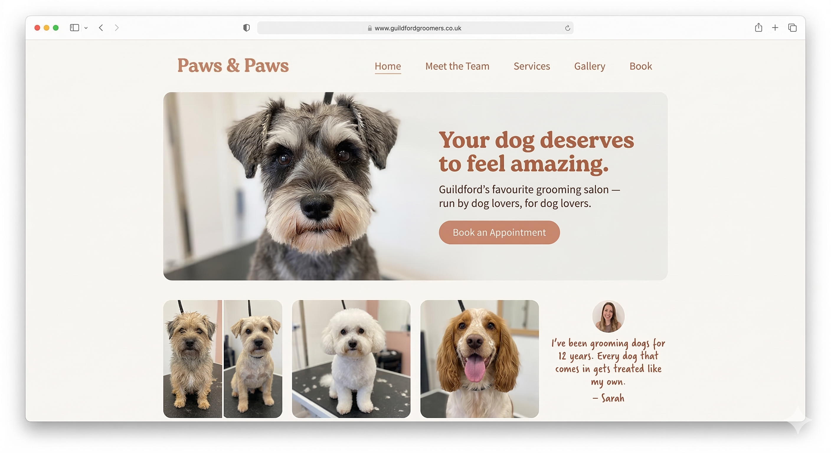 Desktop design concept for a dog grooming business website