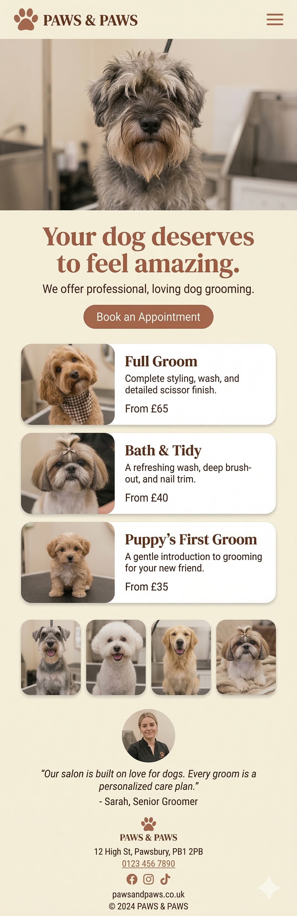 Mobile design concept for a dog grooming business website