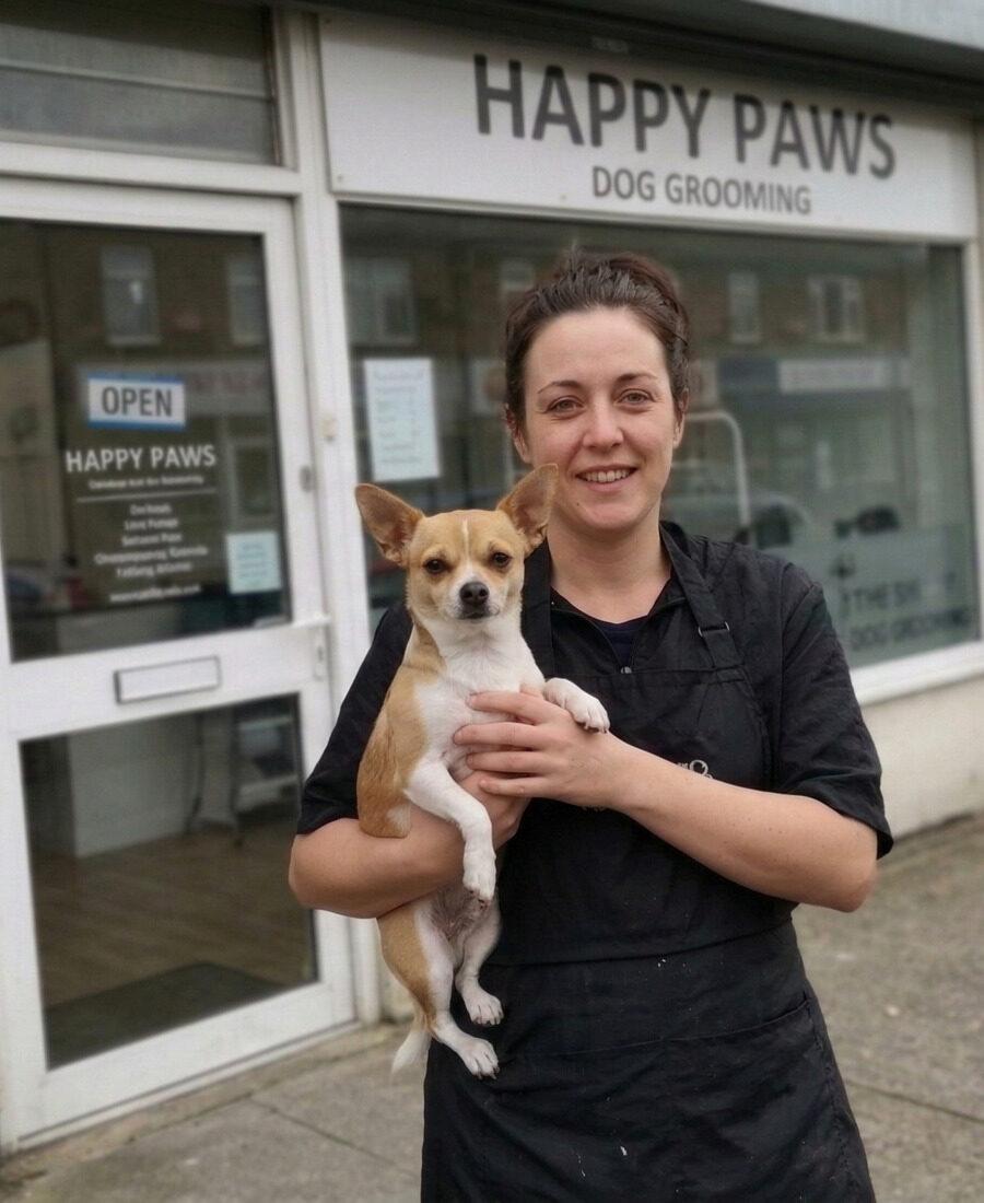 Dog groomer finishing a groom in a professional salon, checking their phone for a new booking